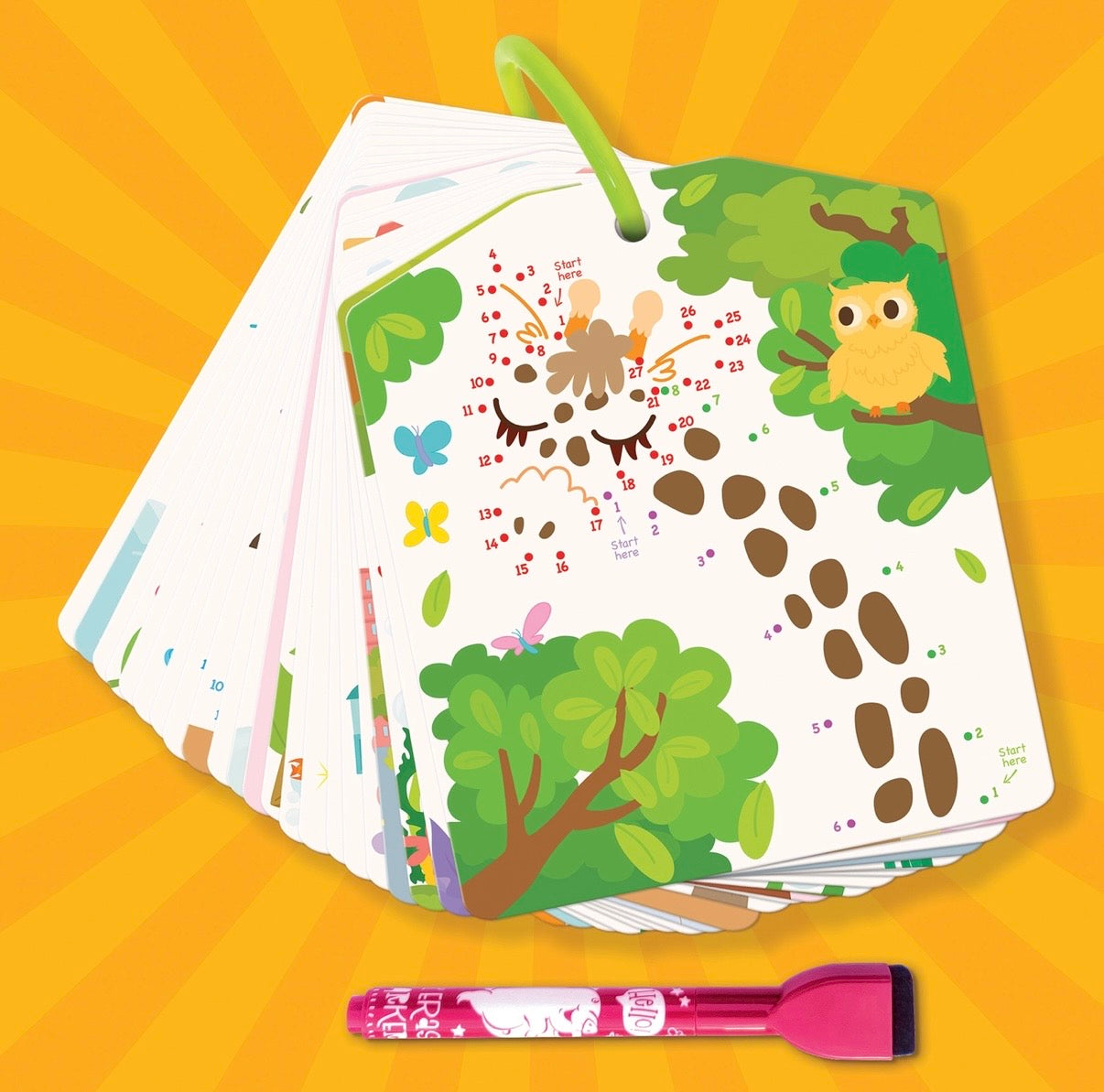Dry Erase Connect-The-Dots Activity Cards